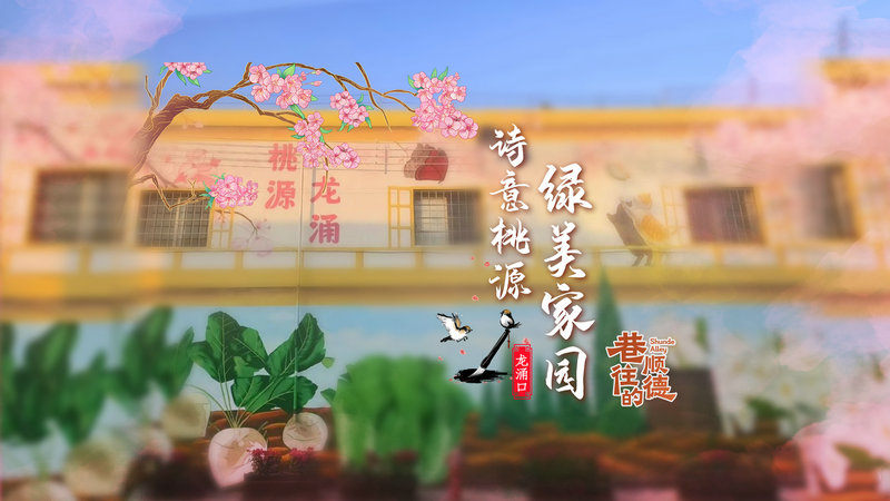 巷往的顺德⑤|容桂龙涌口：诗意桃源，和美