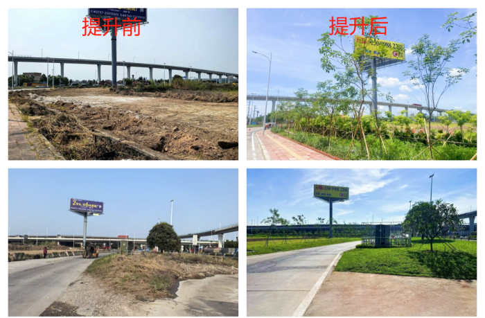 荒地变绿洲，杏坛安富立交蝶变城市美学