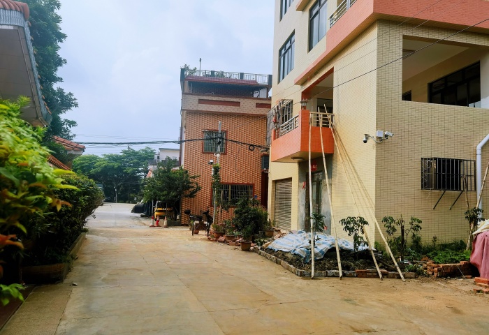 还路于民！杏坛重拳出击铲除“霸道”违建