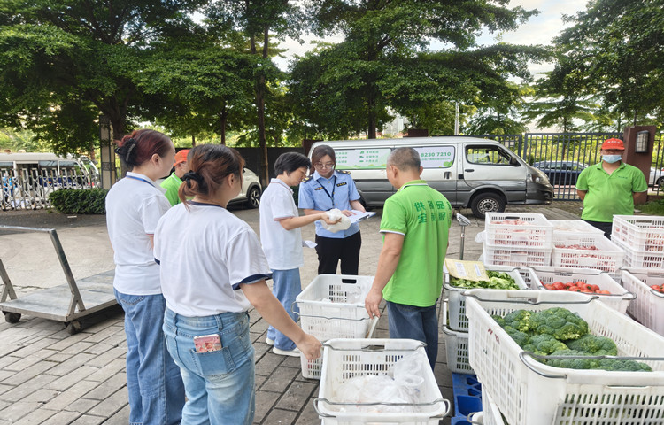 1.2万中考师生食品安全，大良全力以“护”