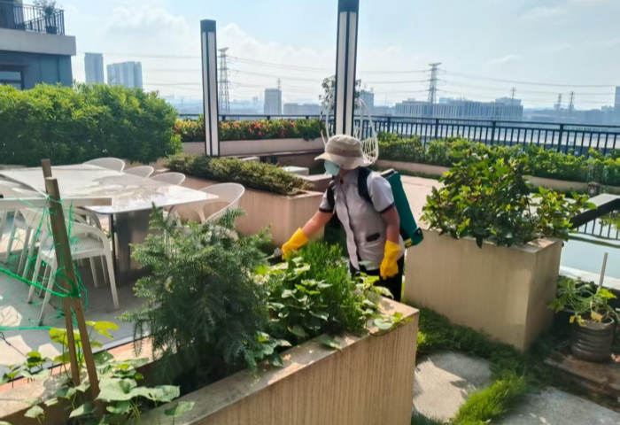 紧盯园区各领域、全覆盖，顺德高新区开展蚊媒传染病防控培训