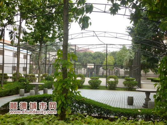 三月检查美景各异，你追我赶竞争更烈