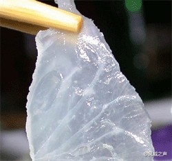 顺德人吃鱼