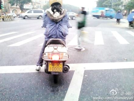 很牛X的车牌