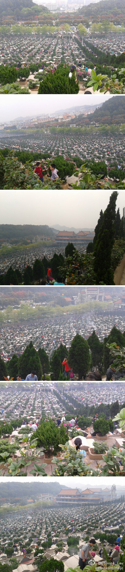清明飞鹅墓园好壮观