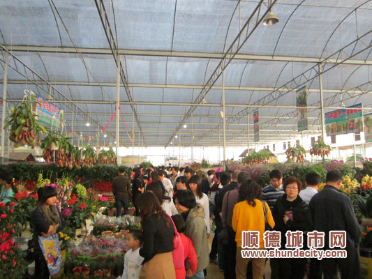 高涨！陈村迎春花市“与温度同行”