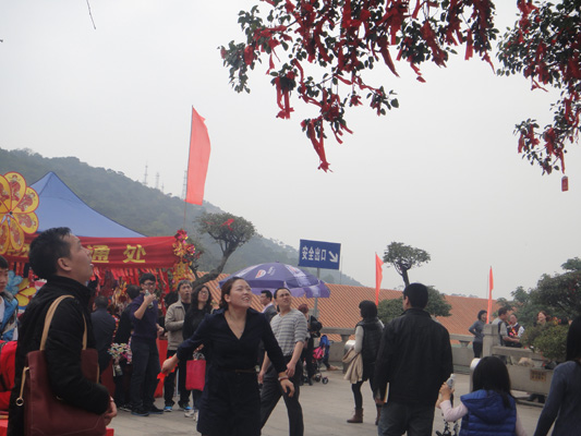 西方情人节，你会去宝林寺求姻缘吗？