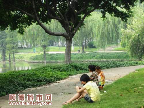 勒流：解决产业失衡问题，致力实现城市化