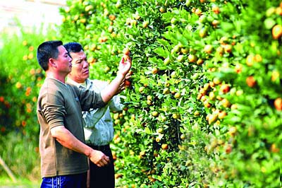 财税局：财政分配体现工业反哺农业