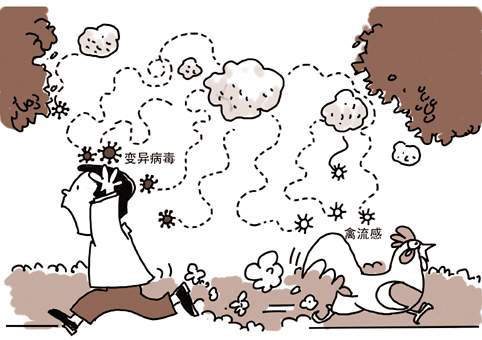 “禽流感”闹人心，动物防疫不容忽视！