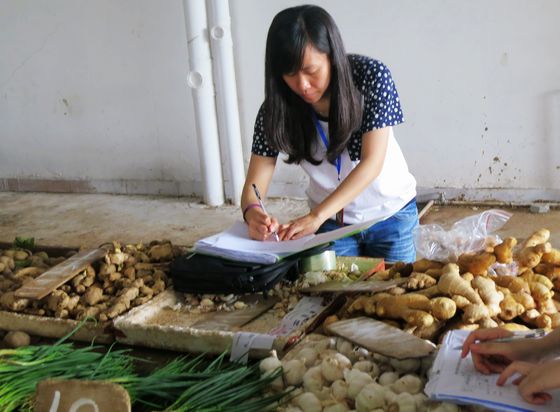 顺德暂未发现“毒生姜”，镇街排查在继续
