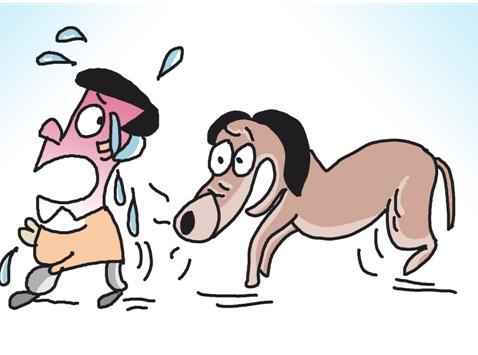 杏坛网传有人被烈犬咬死？证实是谣言