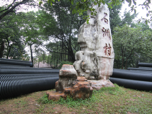 陈村石洲：农村生活污水分散式治理