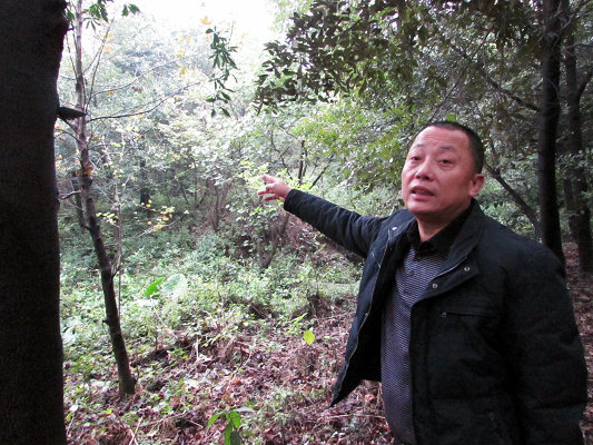 山林守护者：守护山头的战士紧张365天