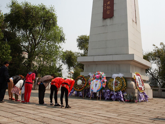 顺德网议：清明祭扫你选传统or新式？