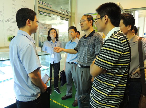 安全社区建设做得如何？专家来“挑刺”