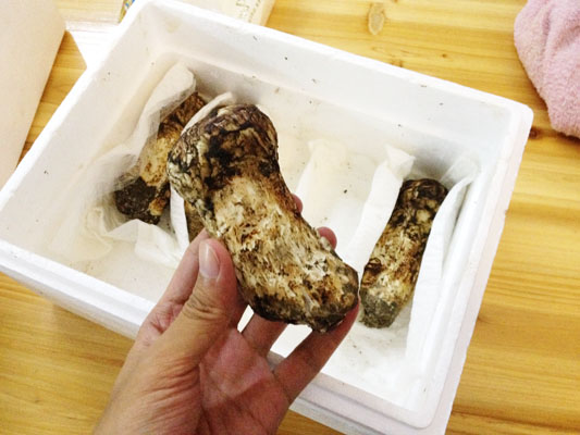 松茸点样食？“简单粗暴”最过瘾