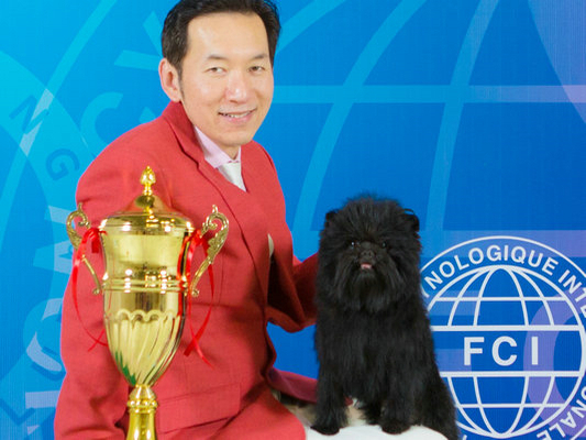 开学前有啥乐？周五到陈村看狗宝宝比赛