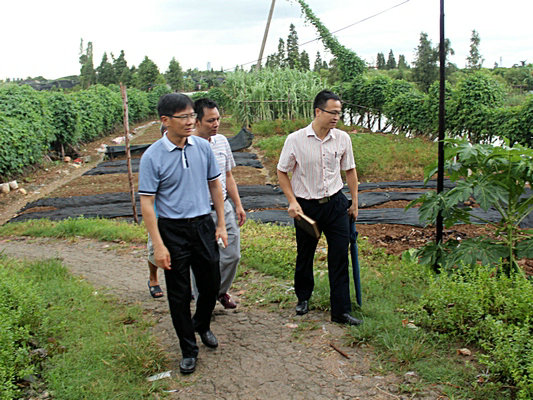 贴近群众，顺德党政干部爱上“轧马路”