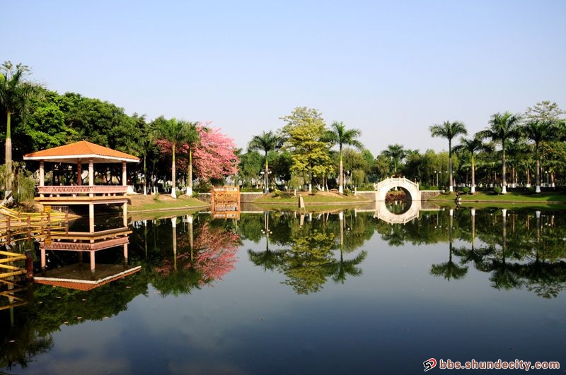 冬日里的三州公园小景