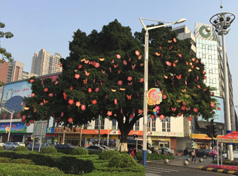 街上喜洋洋  打扮也可以这么有创意的么？
