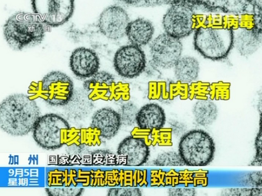 汉坦病毒可致流行病，被挡在“家门口”