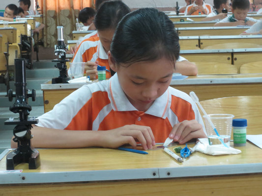 探索科学奥妙，3000余名小科学家齐聚凤城