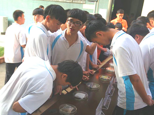 陈村：特殊一课，毒品实物展搬到学校