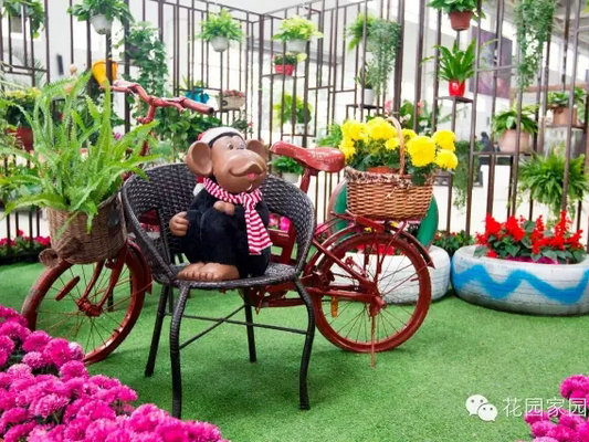不虚此行！陈村花卉文化节门票有优惠了