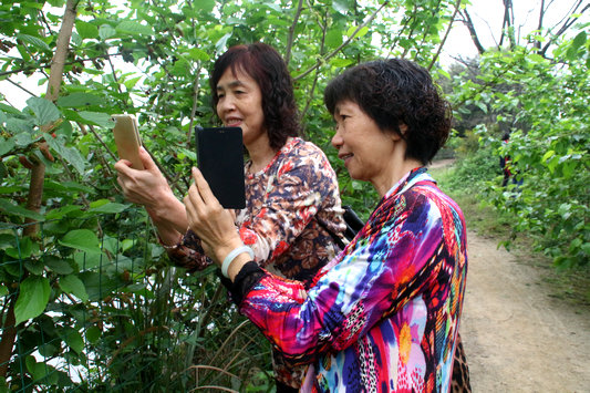 一起摄影微拍，近百妇女代表欢度节日