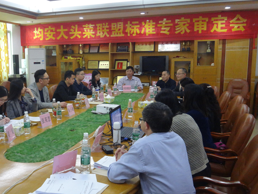 均安：联盟标准在手，大头菜推广有利器