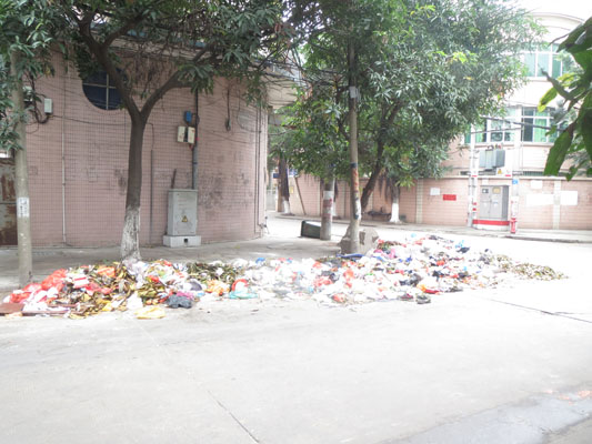 垃圾“扰”民，大伙说“还我清新空气”