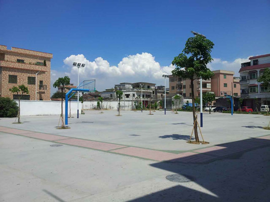 杏坛吕地：党委发力，臭鱼塘变身靓公园