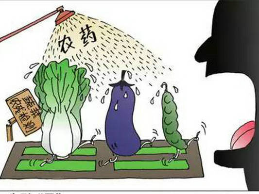 龙江上半年销毁超标蔬菜约287公斤！