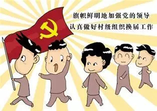 说说选举那些事儿，准备和投票期间的问题