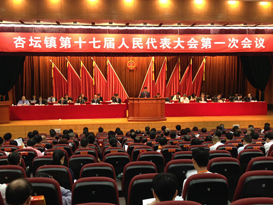杏坛打造西南支点，未来从这些方面发力