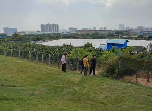 乐从：呵护水源，拆除水源保护区违建