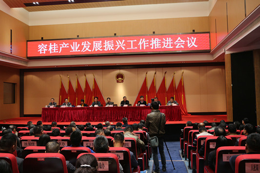 容桂再启程！区邦敏：抬起头，鼓起劲来干一场！