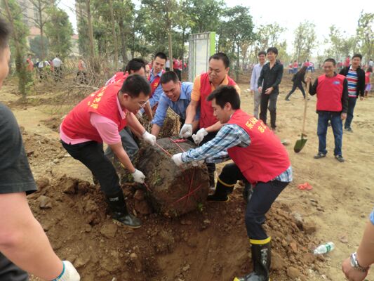 伦教：约吗？3月12日带上家人一起植树
