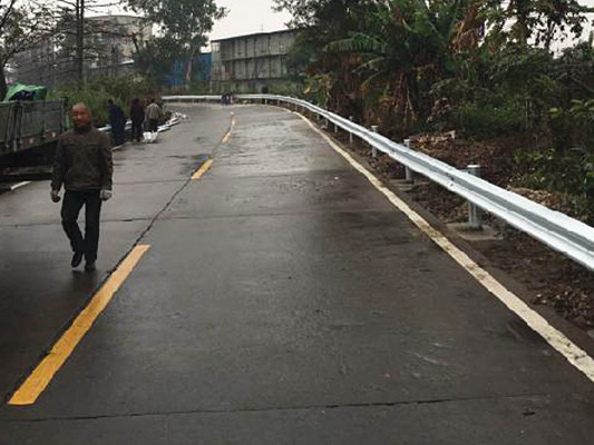 更安全！杏坛临水农村公路要安装护栏了