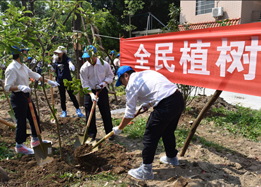 大良：组织130多人植树，又添一份绿！