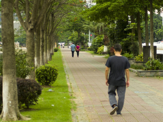 新桂南路