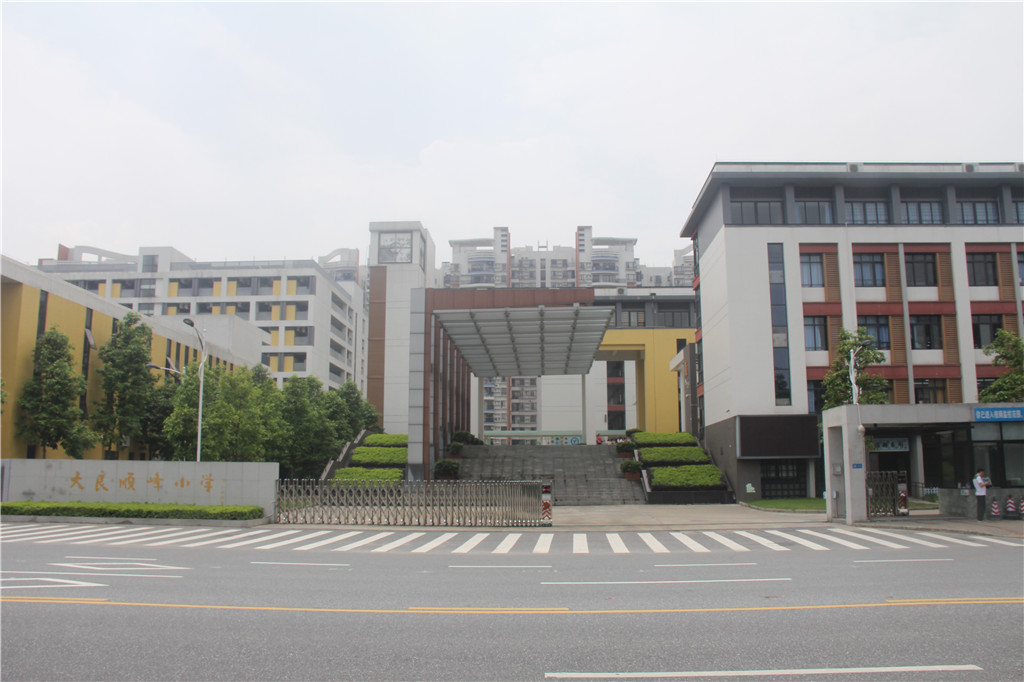 大良顺峰小学