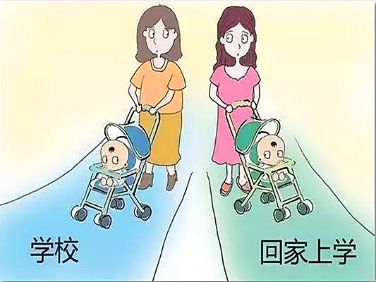 顺德网议：你会让孩子“在家上学”吗？