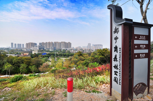 北滘都宁岗森林公园