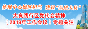 体现中心城区担当，建设“品质大良”