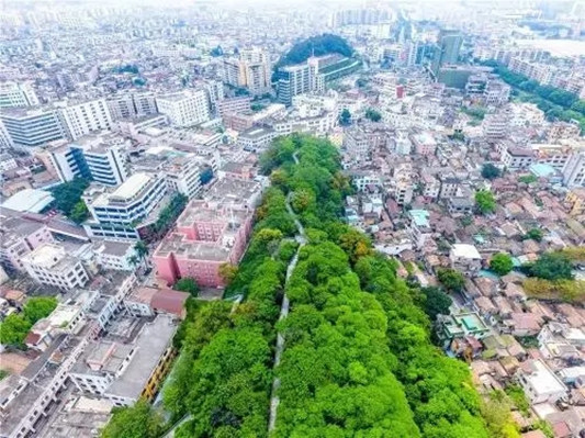 投资600万！华盖山拟打造爱情主题公园