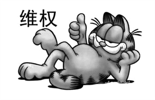 闹哪样？明明买了只狗，却收到一只猫