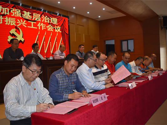 加强基层治理推动乡村振兴，陈村放大招