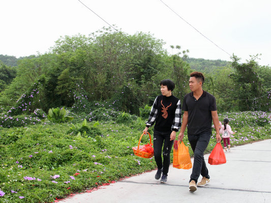 又是一年清明时，网友作诗念先人